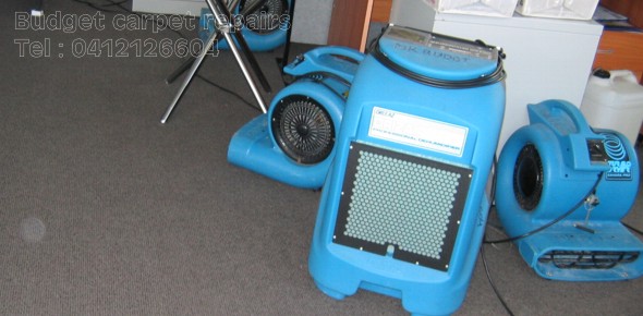 Dry wet carpet  sydney